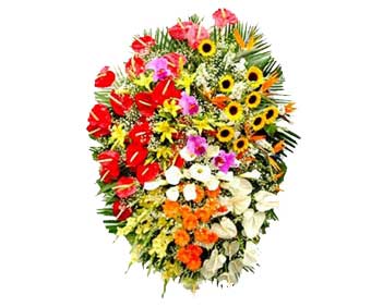 Coroa de Flores BR 13