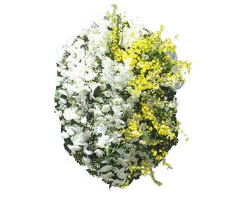 Coroa de Flores Modelo BR 16